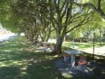 Sede Campestre